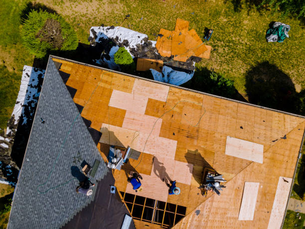 Professional Roofing Contractor in Independence, KS